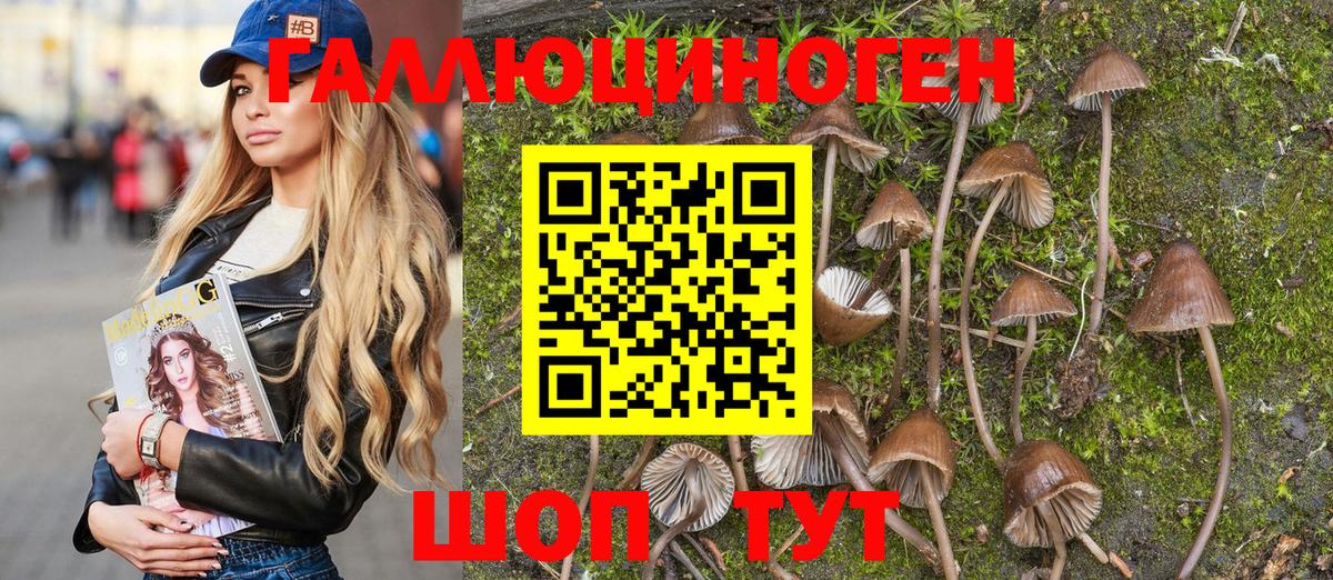 Псилоцибиновые грибы мухоморы Аша